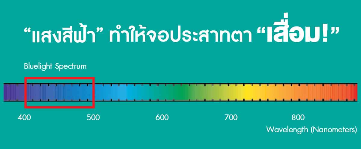 แว่นกรองแสงสีฟ้า Bewell