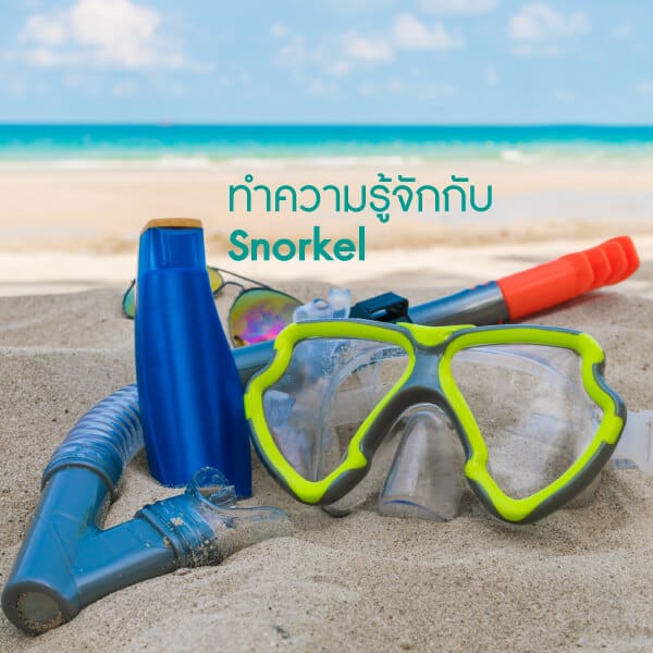 เตรียมพร้อมก่อนดำน้ำ Bewell