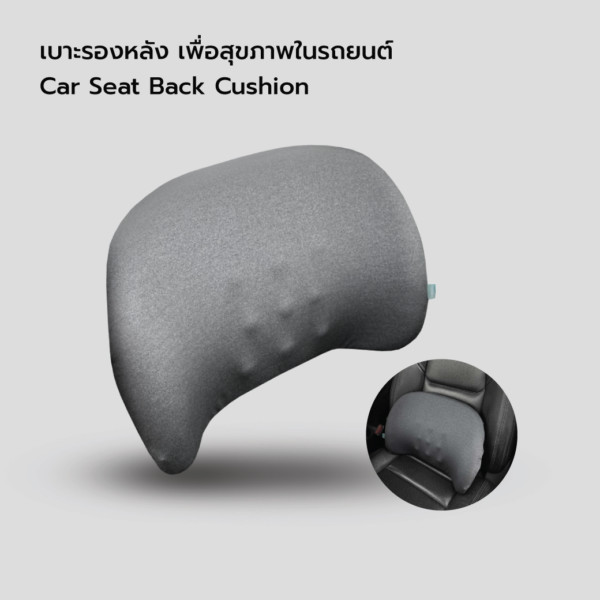 Cover_car-seat-back-2