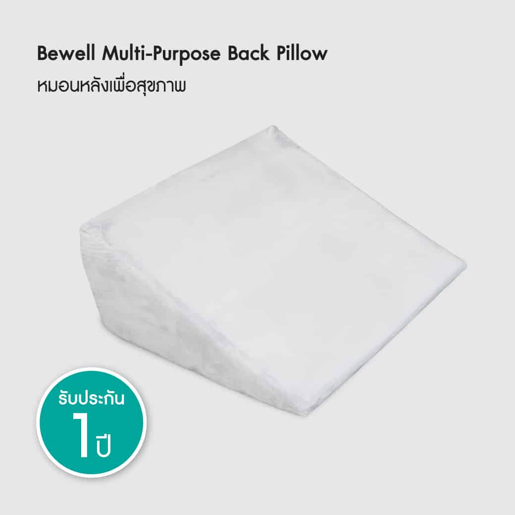 หมอนรองหลัง | Back Support Pillow